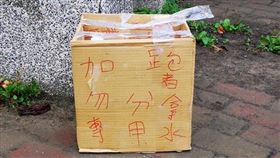 寫字,箱子,加分,跑者,專用水,翻譯,「爆廢公社二館」