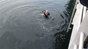 胎兒,嬰兒,高雄,前鎮,棄屍