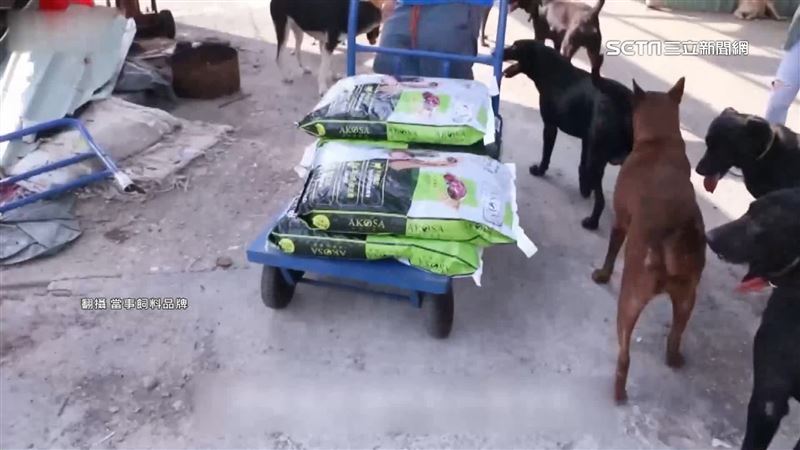 集糧救狗！愛心平台遭爆：就是飼料商