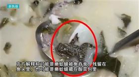 中國一名女子吃酸菜魚時，碗裡竟出現蟾蜍。（圖／翻攝自《新快報》）