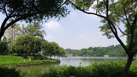 秋高氣爽去哪玩？秋遊虎埤正時機　八景尋寶啉咖啡