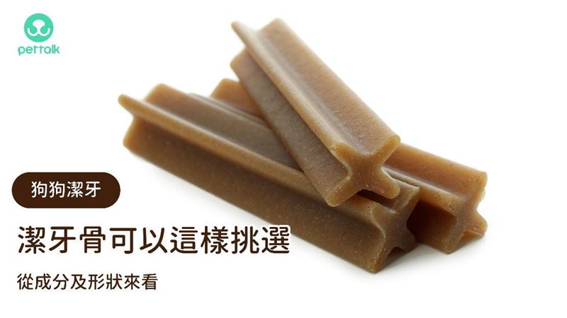 潔牙骨這樣挑：從成分及形狀來看