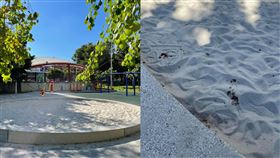 爆怨公社／嘴爛的在公園小朋友玩的沙坑吐檳榔汁。（圖／翻攝自爆怨公社）