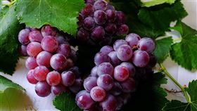 紫葡萄,青葡萄,翻攝自pexels