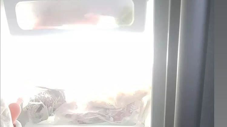 冰箱換燈泡變異世界　網笑：後勁好強