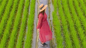 雲林縣政府舉辦空拍比賽，社會組銀獎《紅衣大女孩》意外引發網友關注。（圖／翻攝自《2021我愛雲林之美》）