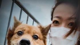 女星梁敏儀（圖／翻攝自梁敏儀微博）