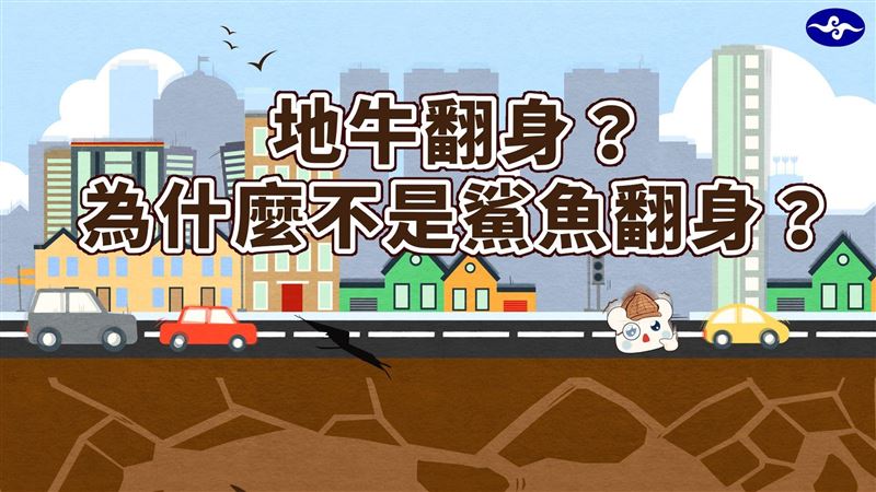 台灣說地「牛」翻身　外國用這些動物