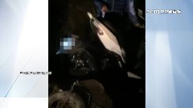 文 外送救犁田1200