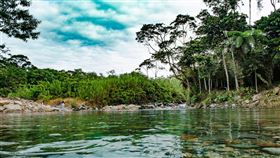 亞馬遜雨林，森林，河，溪，山谷。（圖／翻攝自pixabay）