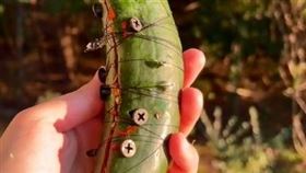 詛咒變態男！網紅女巫狠虐「小黃瓜」　綑綁插釘百萬人搶看（圖／翻攝自Kalei TikTok）