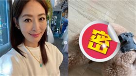 賈永婕早上和老公晨跑，愛犬「Ｑ比」卻遭民眾小狗咬傷。（圖／翻攝自賈永婕臉書）