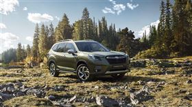 ▲SUBARU旗下全新運動休旅The New Forester。（圖／SUBARU提供）
