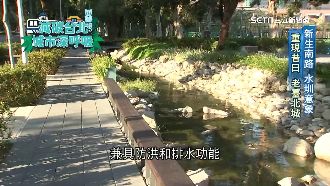 因應極端氣候！打造臺北成為海綿城市