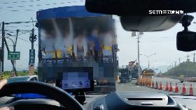 文 遶境載豬車1800