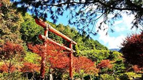 圖／台灣旅行趣