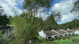 五倍券發威！溪頭湧「報復性旅遊潮」