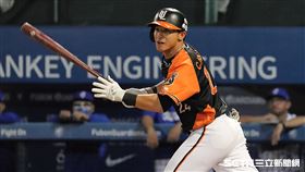 ▲統一獅外野手陳傑憲。（圖／記者劉彥池攝影）