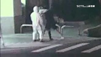 出拳毆消防救護員　醉男遭過肩摔壓制