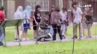 無視園內告示牌　惡遊客「騎上象龜」