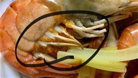 蝦子、蝦卵、蝦蛋。（圖／翻攝自爆廢公社公開版）