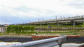 高鐵宜蘭站專題，縣政中心以南一帶。（圖／記者楊澍攝影）