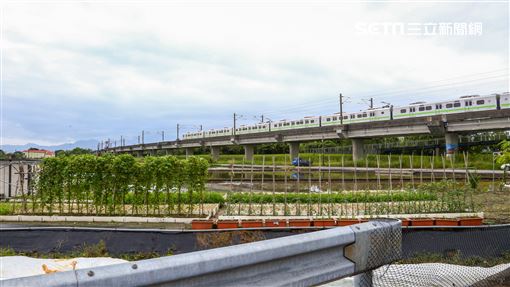 高鐵延伸宜蘭　民團曝：支持直鐵明顯升高