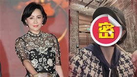 劉嘉玲特意套上特效自拍，化身成恐怖小丑。（圖／翻攝自劉嘉玲微博）