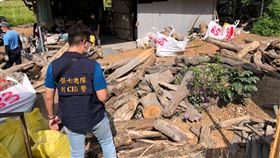 南投,水里,檜木,精油,漂流木。(圖/翻攝畫面)