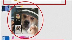 男傳「柴犬表情包」被指辱警關9天　中國網友驚：太可怕了　圖／翻攝自微博