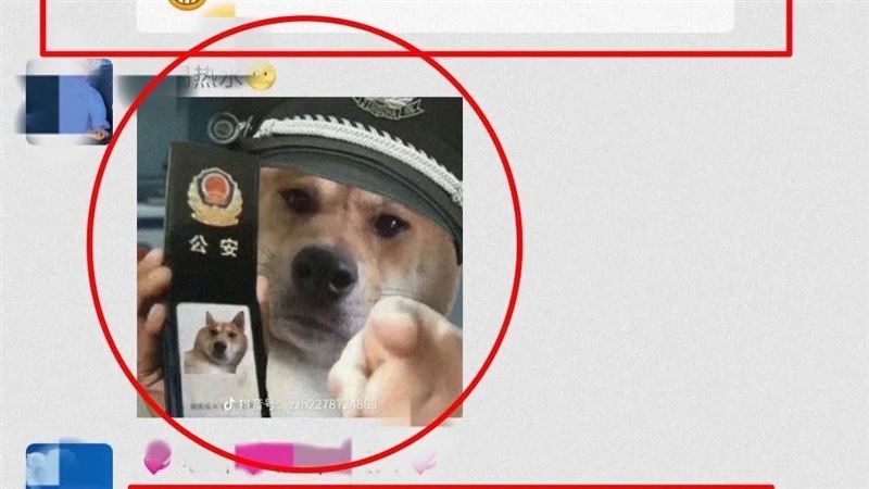 傳柴犬表情包　他被檢舉辱警要關9天