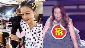 周海媚,《沸騰之夜》