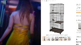 貓籠,酒店,亞馬遜,網購(翻攝自 日本亞馬遜)