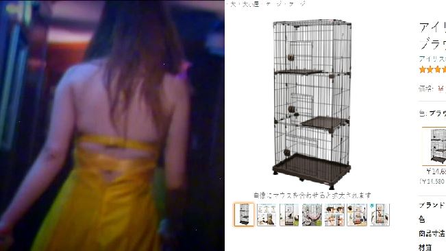 上酒店被妻抓到　男被關貓籠20小時