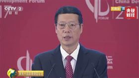 中國國務院前副總理張高麗（圖／翻攝自央視財經微博）