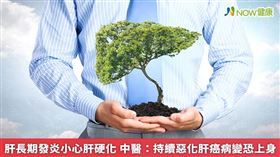 名家專用／NOW健康／中醫師莊振杉解釋，若檢查發現肝硬化，就該把握時機治療。(勿用)
