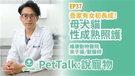 圖、文／PetTalk：說寵物　獸醫師／維康動物醫院／宋子揚