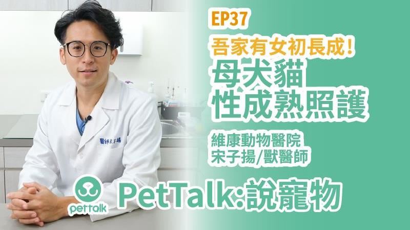 吾家有女初長成！母犬貓性成熟照護