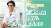 吾家有女初長成！母犬貓性成熟照護