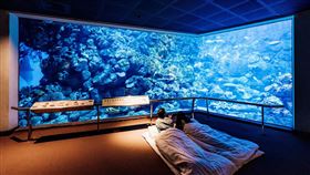 ▲夜宿海生館體驗活動_台灣水域館（圖／海景世界企業股份有限公司提供）