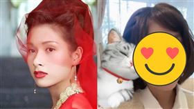 楊恭如。（圖／翻攝自微博）