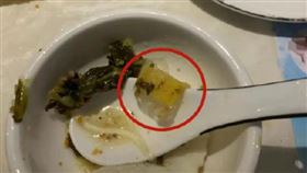 吃到「帶血OK繃」！廚師體檢報告出爐　夫妻崩潰：有梅毒（圖／翻攝自普寧風情網）