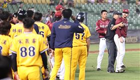  樂天桃猿和中信兄弟清空板凳。（圖／中信兄弟提供）