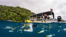 旅展。（圖／業者提供）