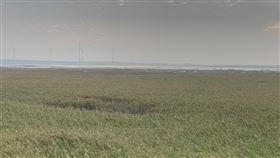 中市議員指高美濕地陸化現象嚴重台中知名景點高美濕地近年陸化現象嚴重，陸續出現陸化先驅植物蘆葦，有議員指出，蘆葦分布範圍估計已有3座足球場大，雲林莞草分布面積較前年減少45.8%。（台中市議員楊典忠提供）中央社記者趙麗妍傳真  110年11月5日