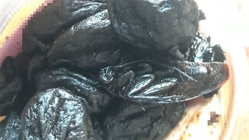爽吃老藥桔！打開竟見「烏黑大蟑螂」