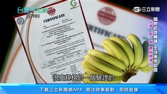 疫情影響出口　台灣蕉農力拚轉型！