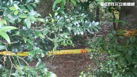 苗栗,父母,殺害,埋屍,幼童,兒子