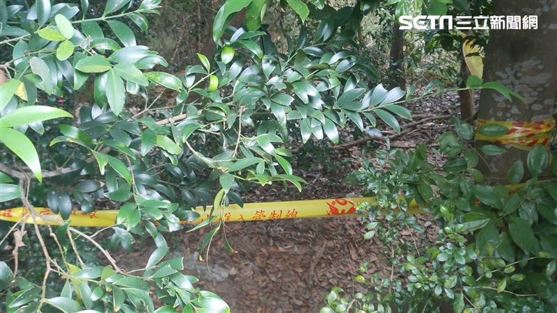 殺2歲兒父母供死因　巧拼套頭哄午睡