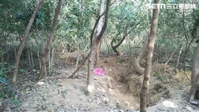 苗栗,父母,殺害,埋屍,幼童,兒子